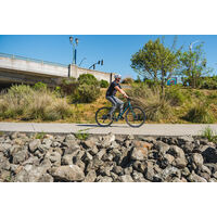 Marin Fairfax E ST click to zoom image